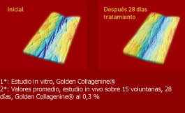 resultados